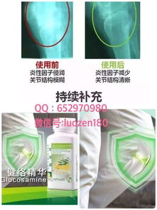 互联网时代下的安利产品零售与招商代理新路径